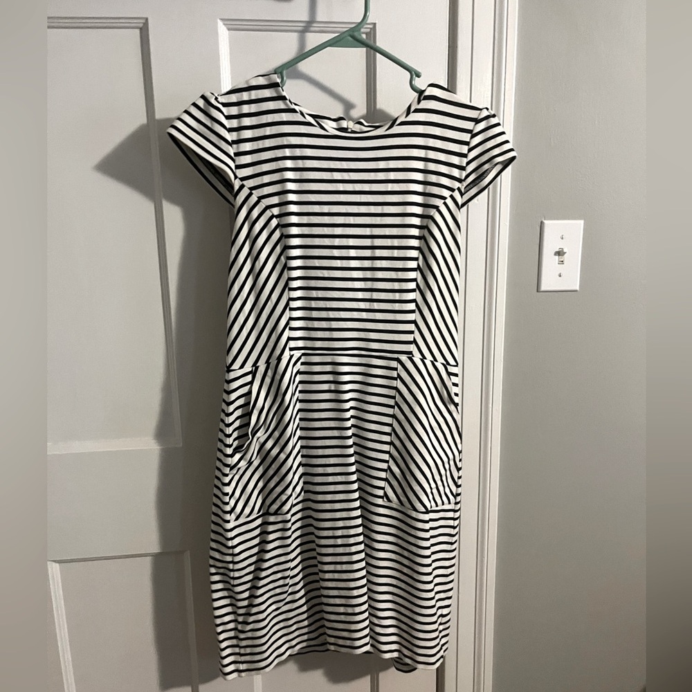 Lark and Ro knee length dress. Stretchy and cute.